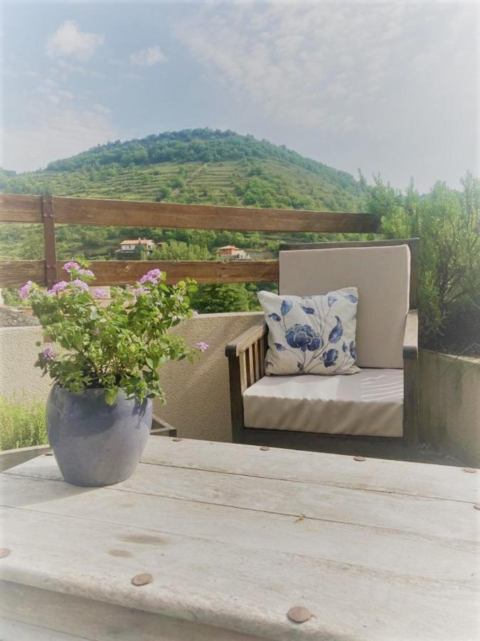 Verrieres  Le Cocon Bed & Breakfast エクステリア 写真