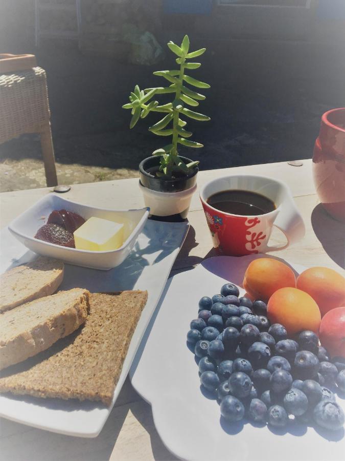 Verrieres  Le Cocon Bed & Breakfast エクステリア 写真