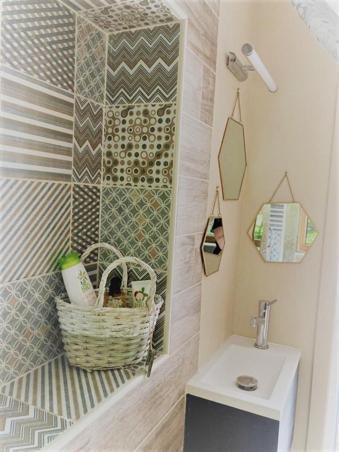 Verrieres  Le Cocon Bed & Breakfast エクステリア 写真
